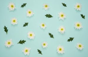 Tapety kwiaty – jak wybrać wzór, który odmieni Twoje wnętrze?